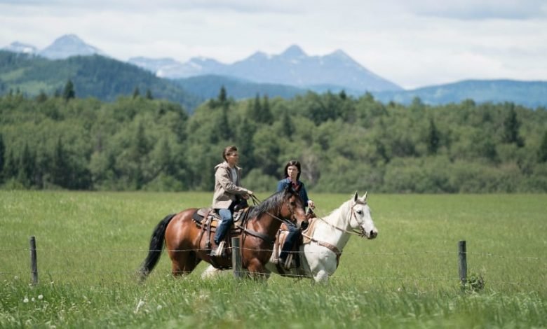 Heartland season 11 episode 6