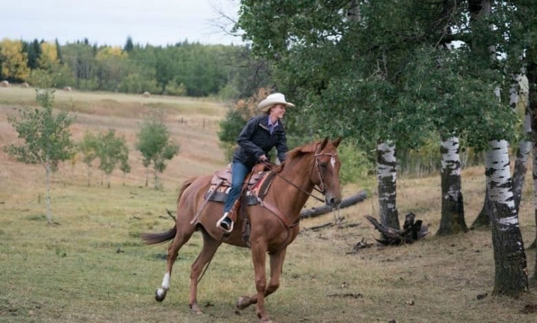 Heartland season 11 episode 11