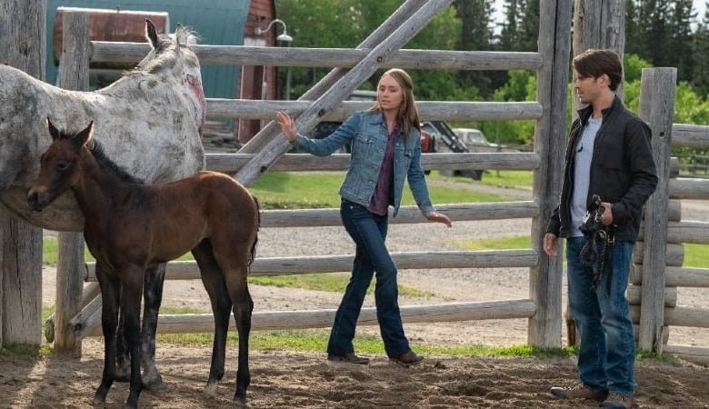 heartland season 14 episode 1 cast