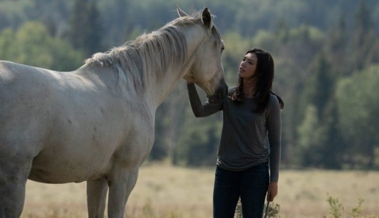 Heartland season 12 episode 10