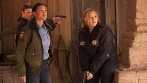 The 11 Best TV Shows About US Marshals | tvshowpilot.com