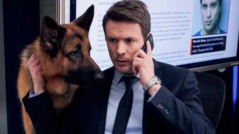 The 8 Best TV Shows about Dogs | tvshowpilot.com