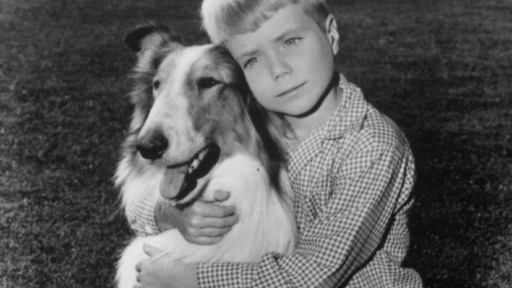 lassie tv show