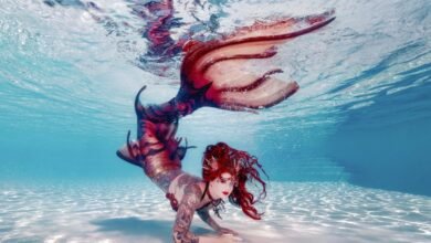 The 9 Best TV Shows About Mermaids | tvshowpilot.com