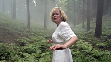 German miniseries Dark Woods review