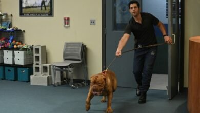 The 13 Best TV Shows About U.S. Marshals tvshowpilot