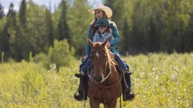 Heartland season 15 episode 1 recap