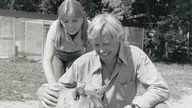 17 TV Shows About Search and Rescue